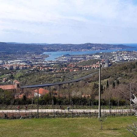 Bellavista Trieste San Dorligo della Valle ภายนอก รูปภาพ