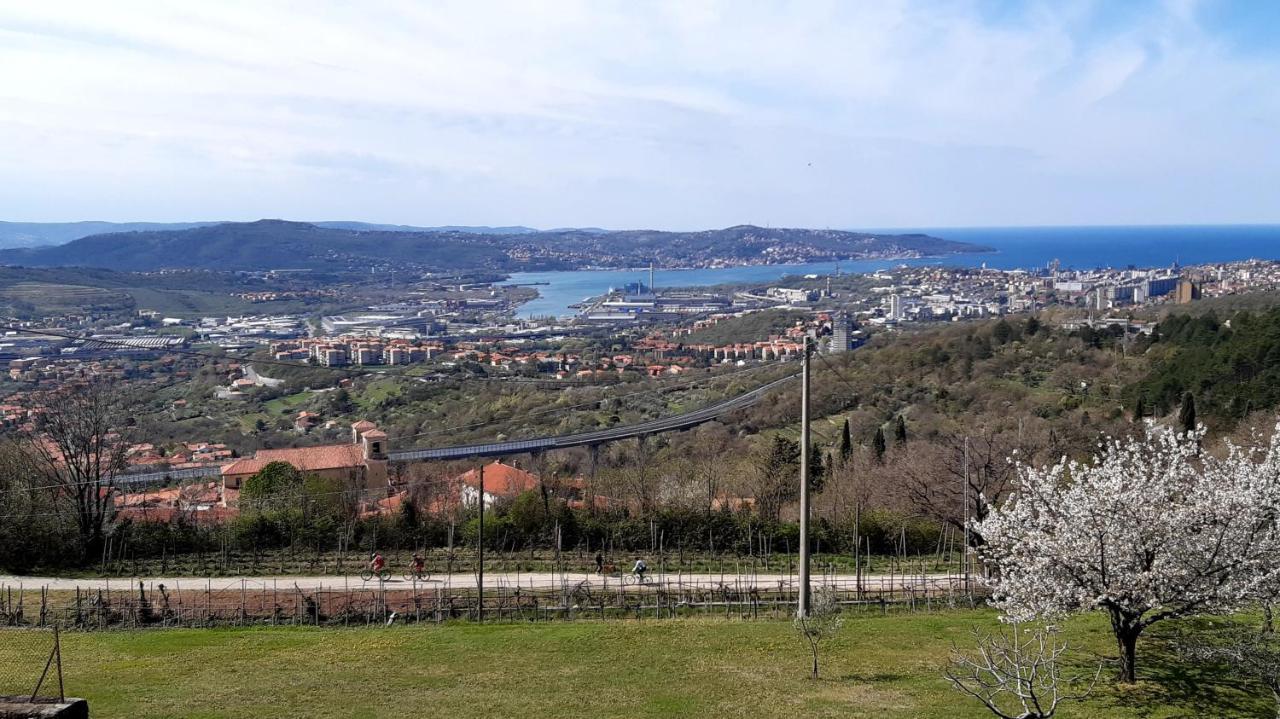Bellavista Trieste San Dorligo della Valle ภายนอก รูปภาพ
