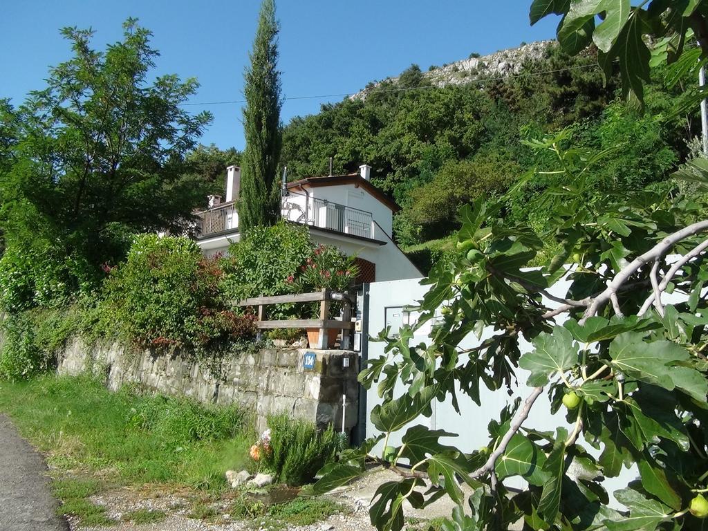 Bellavista Trieste San Dorligo della Valle ภายนอก รูปภาพ